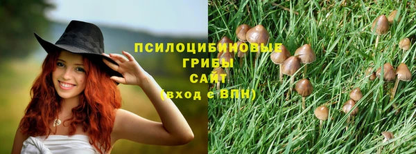 МДПВ Бронницы