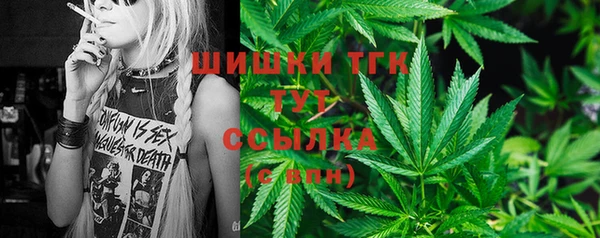 ешки Снежногорск