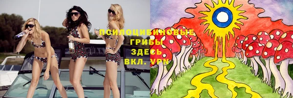 соль ск Верхнеуральск
