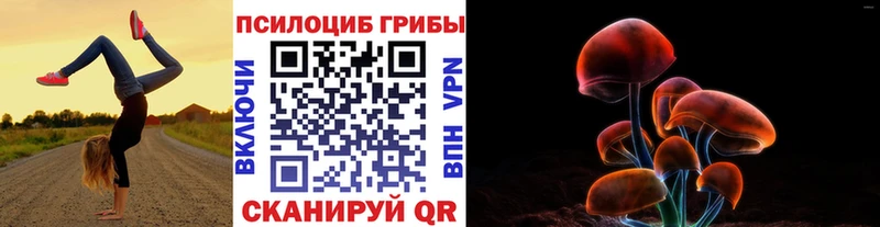 Галлюциногенные грибы Cubensis  где можно купить наркотик  Дмитровск 